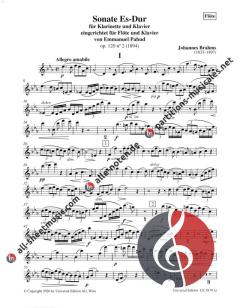 Sonate Es-Dur op. 120 Nr. 2 von Johannes Brahms 