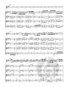 Konzert für Oboe d'amore (Oboe) (J.S. Bach) 