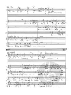 Stimmen für den Frieden von Peter Michael Hamel (Download) 