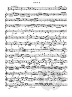 3 Duos op. 62 von Andreas Jacob Romberg für zwei Querflöten im Alle Noten Shop kaufen (Sale)