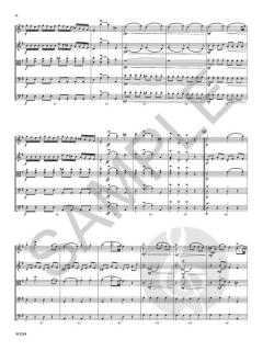 Concertino Da Camera von Antonio Salieri 