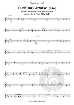 Dudelsack Attacke (Download) 