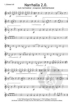 Narrhalla 2.0. von Carl Zulehner (Download) 