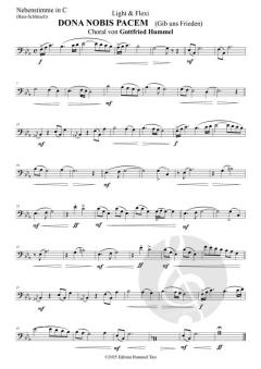 Dona Nobis Pacem - Gib uns Frieden (Download) 