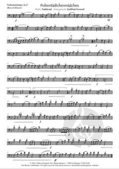 Polenstädtchenmädchen von Gottfried Hummel (Download) 