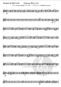 Wiener Blut 2.0. (Ballroomversion) von Johann Strauß (Download) 