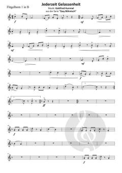 Jederzeit Gelassenheit von Gottfried Hummel (Download) 