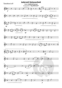 Jederzeit Gelassenheit von Gottfried Hummel (Download) 
