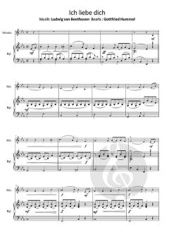 Beethöflich, Mozärtlich & Haydn Spaß dabei (Download) 