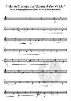Beethöflich, Mozärtlich & Haydn Spaß dabei (Download) 