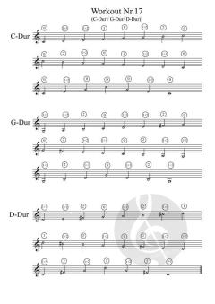 Guggi´s Daily Workout von Gottfried Hummel (Download) 