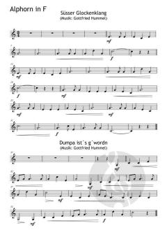 Still, still. still - weil´s Alphorn klingen will von Gottfried Hummel (Download) 