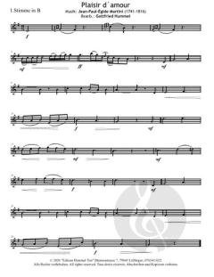 Streetlife live! Waltz around the World (Download) 