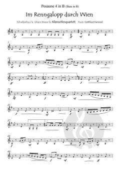 Im Renngalopp durch Wien von Gottfried Hummel (Download) 