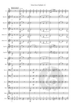 Johann Strauss Highlights von Johann Strauss (Sohn) (Download) 