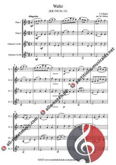 2 Waltzes KK IVb 10&11 von Frédéric Chopin 