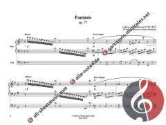 édition bon(n)orgue Vol. 153: Fantasie op. 77 von Ludwig van Beethoven 
