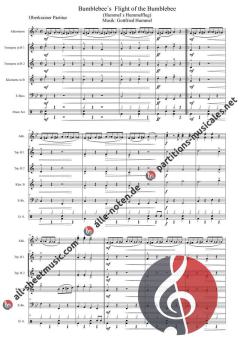Mister Bumblebee´s Bumblebee Flight von Gottfried Hummel (Download) 