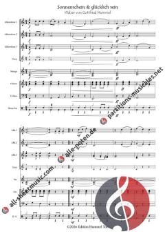 Sonnenschein und glücklich sein von Gottfried Hummel (Download) 