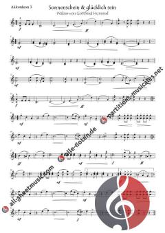 Sonnenschein und glücklich sein von Gottfried Hummel (Download) 
