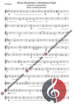 Mister Bumblebee´s Bumblebee Flight von Gottfried Hummel (Download) 