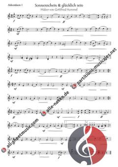 Sonnenschein und glücklich sein von Gottfried Hummel (Download) 