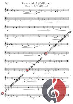 Sonnenschein und glücklich sein von Gottfried Hummel (Download) 