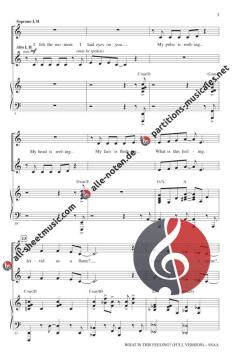 What Is This Feeling? von Stephen Schwartz 