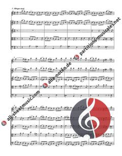 Konzert BWV 1041 (J.S. Bach) 