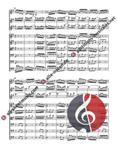 Brandenburgisches Konzert Nr. 4 BWV 1049 (J.S. Bach) 