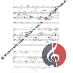 Meditation aus Thais von Jules Massenet 