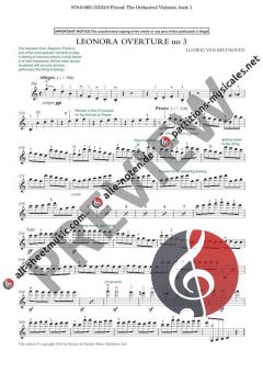 The Orchestral Violinist 1 (Download) 