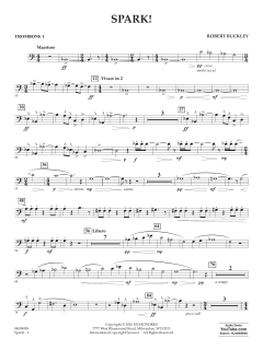 Spark! von Robert Buckley (Download) 