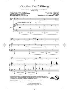 Lo, How A Rose Is Blooming (Download) 