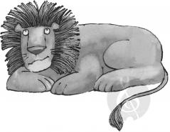 Im Zoo von Antoni Cofalik 