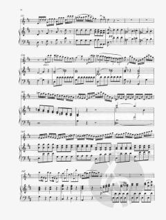 Flötenkonzert D-Dur von Franz Anton Hoffmeister im Alle Noten Shop kaufen