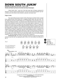 Guitar Signature Licks von Lynyrd Skynyrd 
