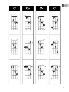 Mandolin Chord Finder (9x12) von Chad Johnson im Alle Noten Shop kaufen