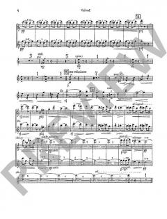 Concerto Nr. 2 in C-Dur op. 160 von Mario Castelnuovo-Tedesco 