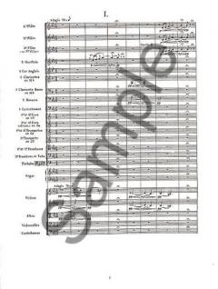 Symphony No. 3 ('Organ') von Camille Saint-Saëns 