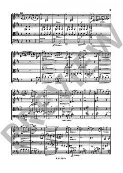 Streichquartett Nr. 2 D-Dur von Alexander Borodin im Alle Noten Shop kaufen - ETP201
