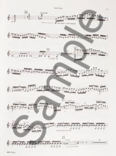 Violin Concerto von Carlos Surinach im Alle Noten Shop kaufen