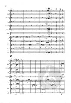 Sinfonie Nr. 5 c-Moll op. 67 von Ludwig van Beethoven 