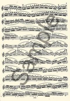 Studies And Exercises For Violin Solo Vol. 3 von Carl F. Flesch im Alle Noten Shop kaufen