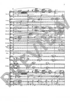 Ein Heldenleben op. 40 von Richard Strauss 