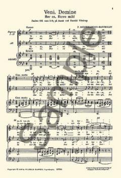 Two Motets Op. 39 No. 1/2 (Felix Mendelssohn Bartholdy) 