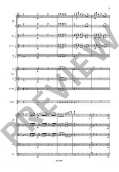 Konzert D-Dur op. 35 CW 54 von Pjotr Iljitsch Tschaikowski für Violine und Orchester im Alle Noten Shop kaufen