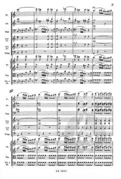 Konzert Nr. 21 C-Dur KV 467 von Wolfgang Amadeus Mozart 