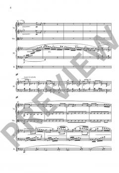 Konzertstück f-Moll op. 79 