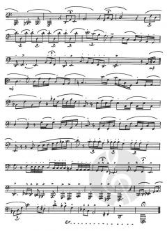 Advanced Etudes von Tommy Pederson 